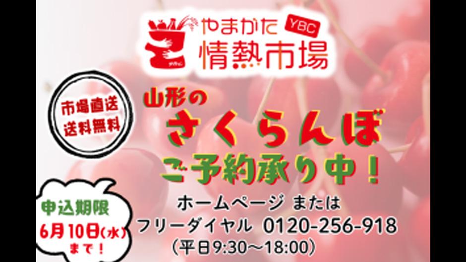 サクランボ