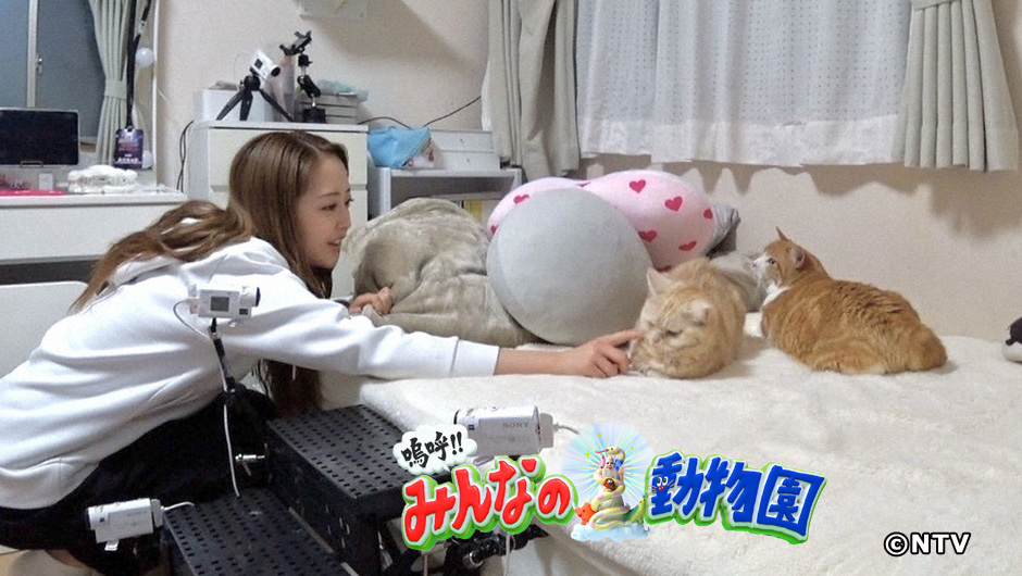 動物0530