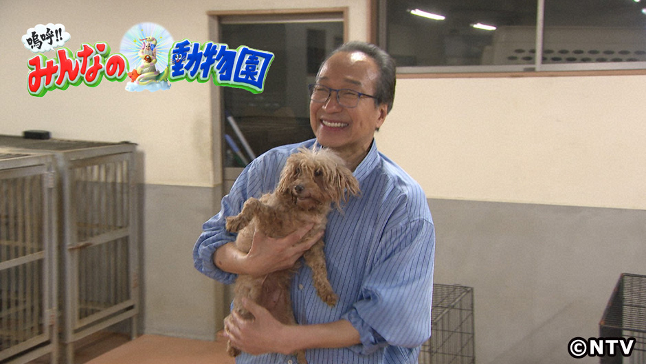 動物園