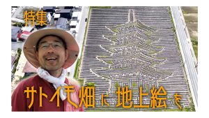 【ピヨ卵ワイド　特集】芋煮ワンダフル！ 10年目の地上絵プロジェクト
