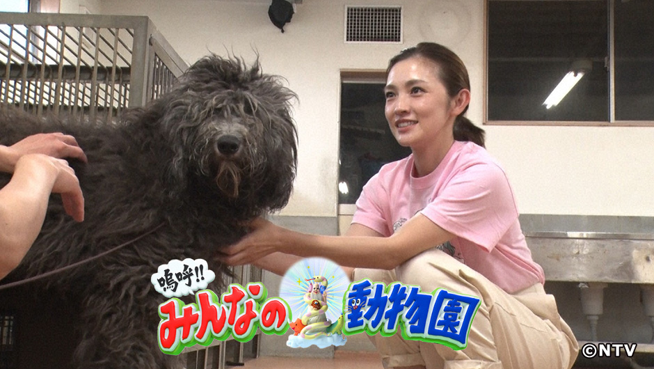 動物園0801
