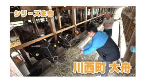 【ピヨ卵ワイド　シリーズまち】川西町大舟（おおぶね）