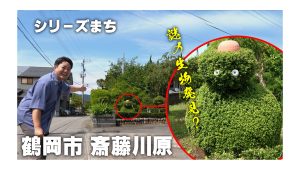 【ピヨ卵ワイド　シリーズまち】鶴岡市 斎藤川原（さいとうがわら）