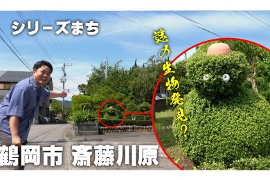 【ピヨ卵ワイド　シリーズまち】鶴岡市 斎藤川原（さいとうがわら）