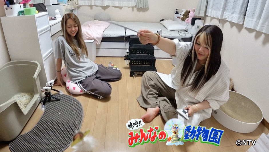 動物0919