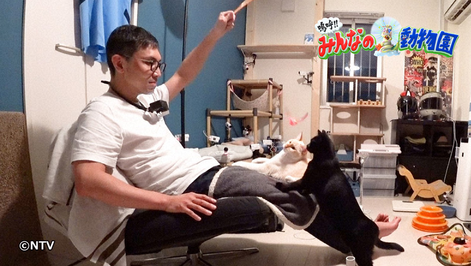 動物園1031